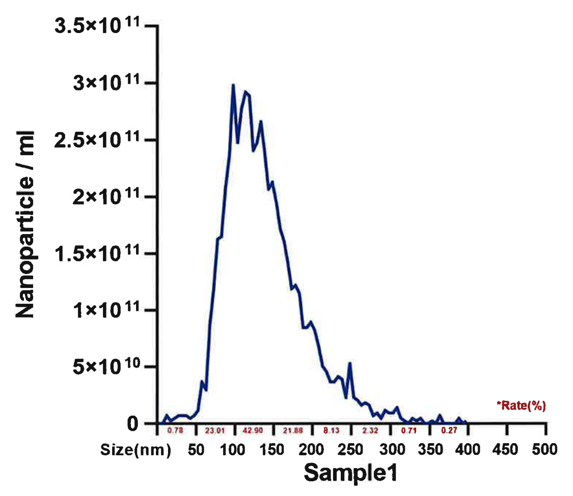 Original NTA distribution, sample 1