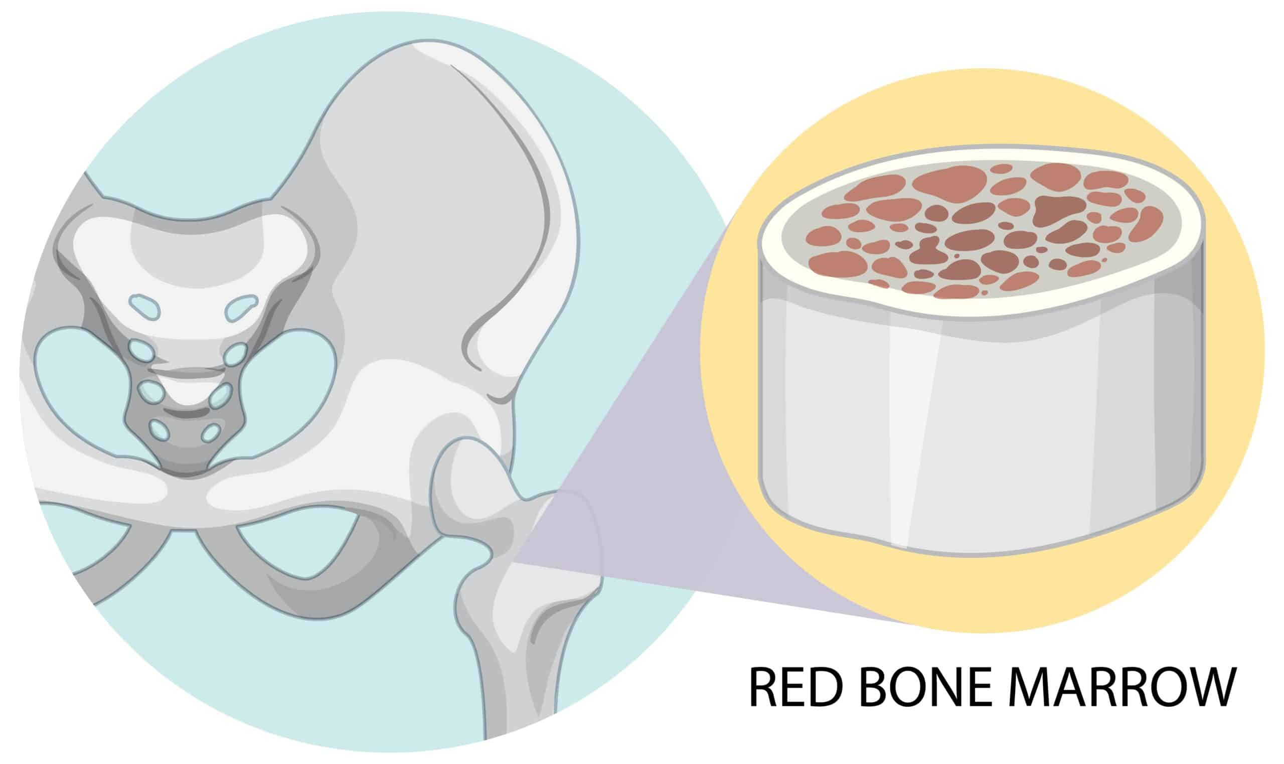 Role of Exosomes in Tissue Repair