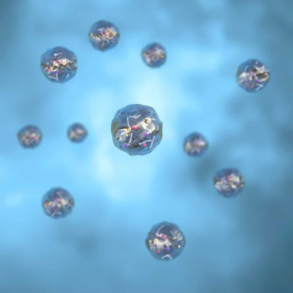 Exosome structure - Lipids, Proteins, and Nucleic Acids